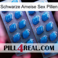 Black Ant Sex Pills viagra2